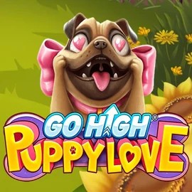 Go High Puppy Love online slot from RubyPlay – play at casinovacasino.eu