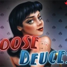 Loose Deuces - 52 Hands online slot from RTG (Reel Time Gaming) – play at casinovacasino.eu