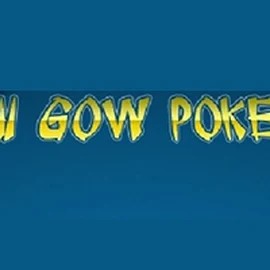 Enjoy Pai Gow Poker by Rival – logo hosted on casinovacasino.eu