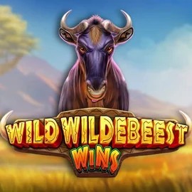 Wild Wildebeest Wins casino game by Pragmatic Play – featured logo at Casinova Casino
